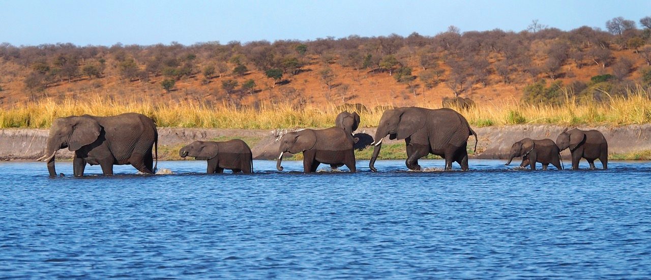 Chobe Riverfront
