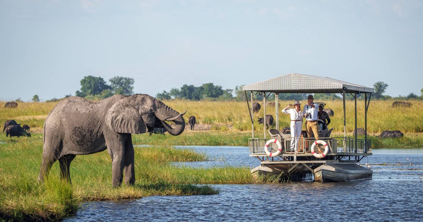 Chobe Day Safari From Victoria Falls