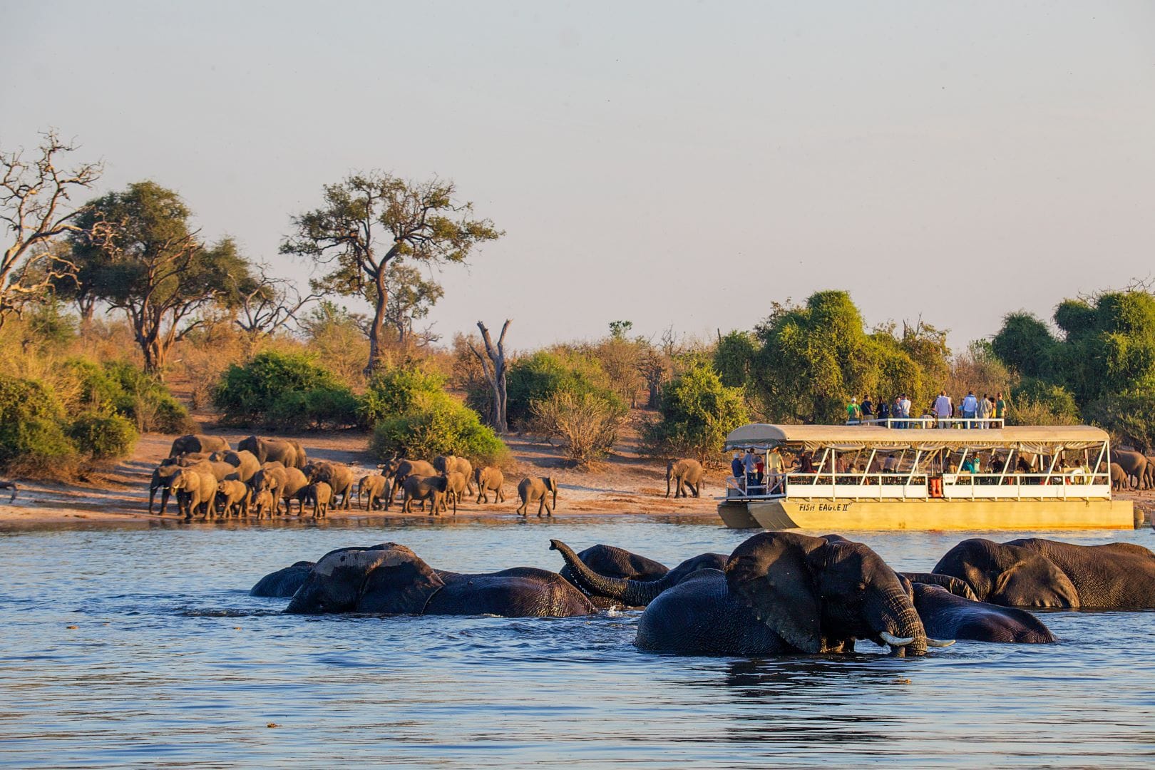 Chobe River Front Viewpoint