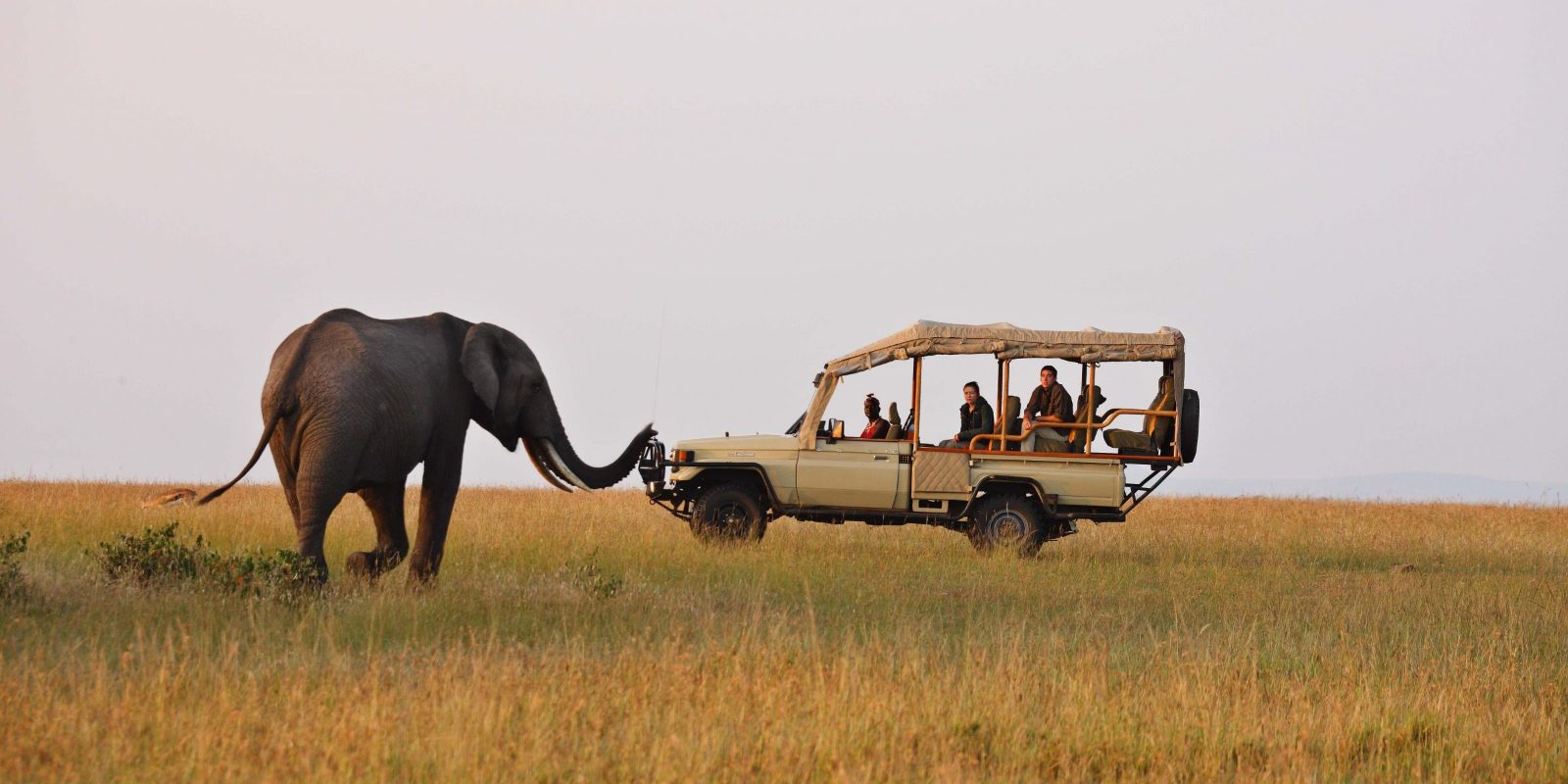 Game Drive