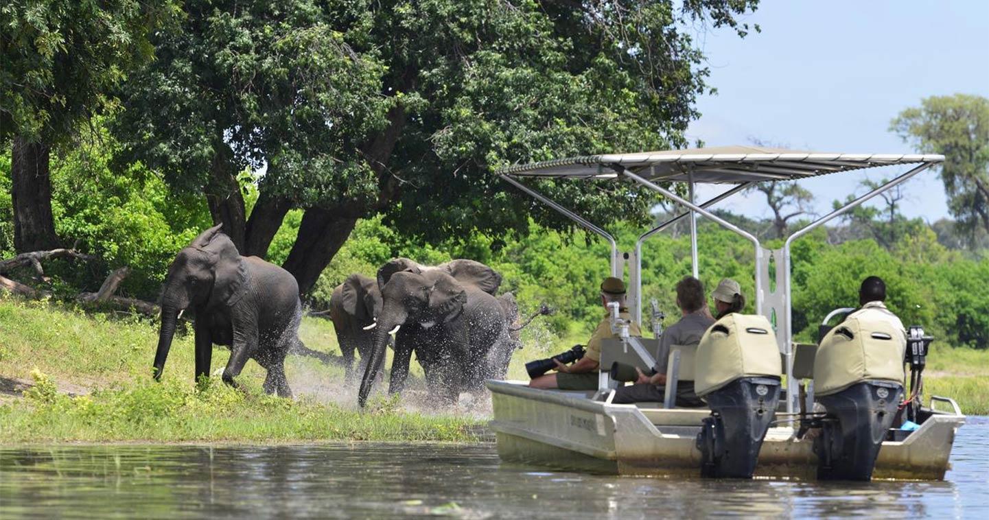 Chobe Day Safari From Livingstone