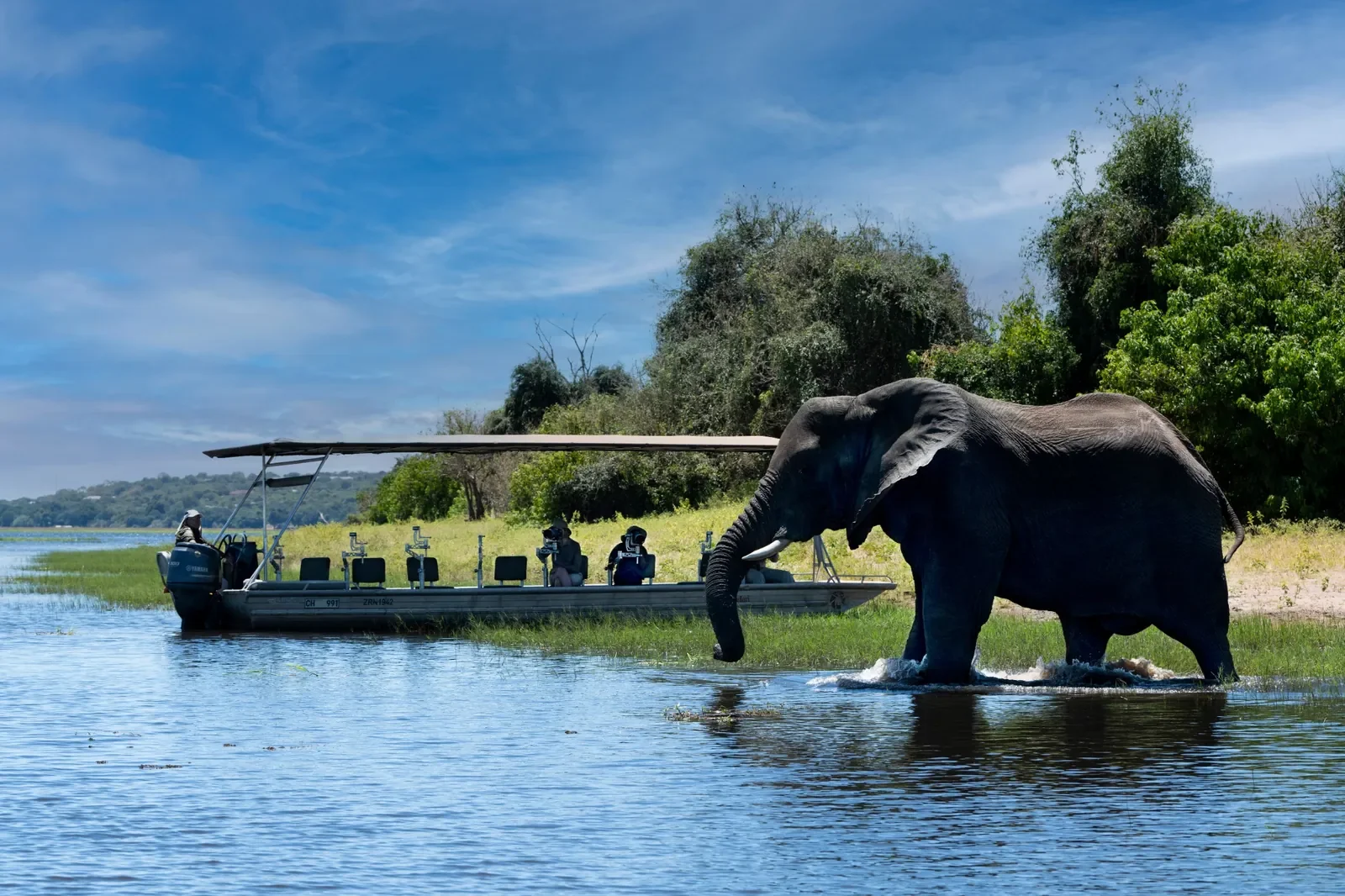 Chobe Riverfront