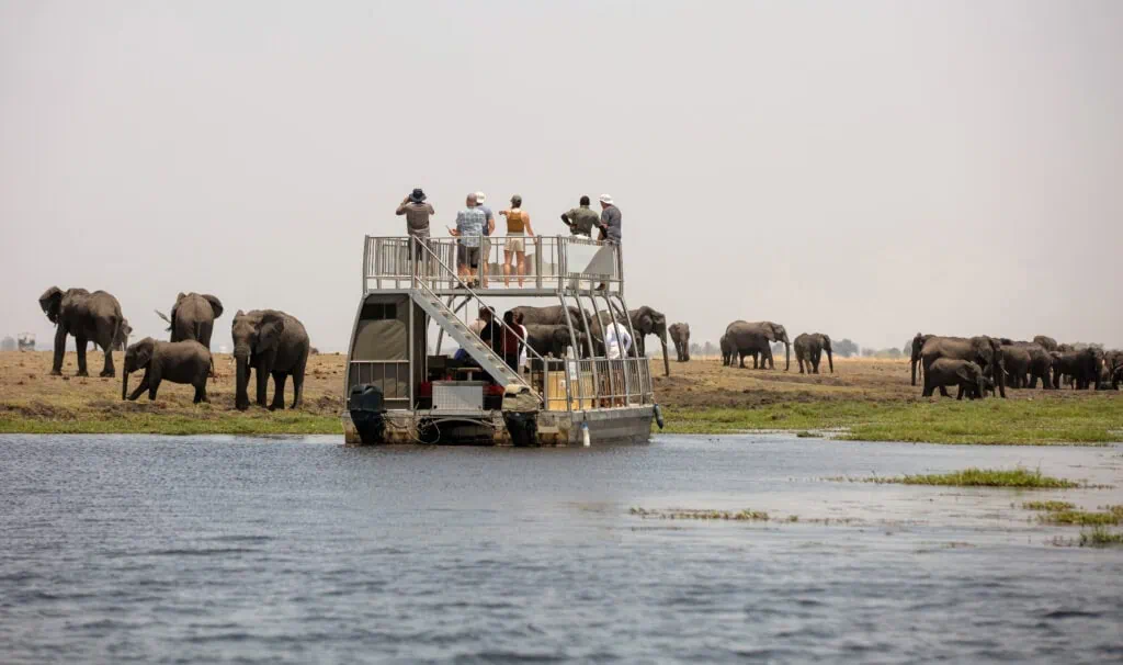 Chobe Full Day Safari
