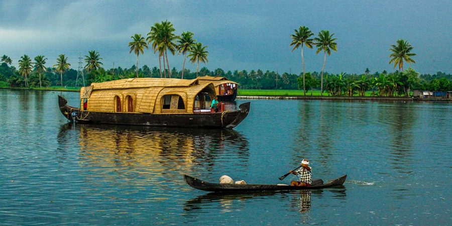 Kuttanad Paddy Fields