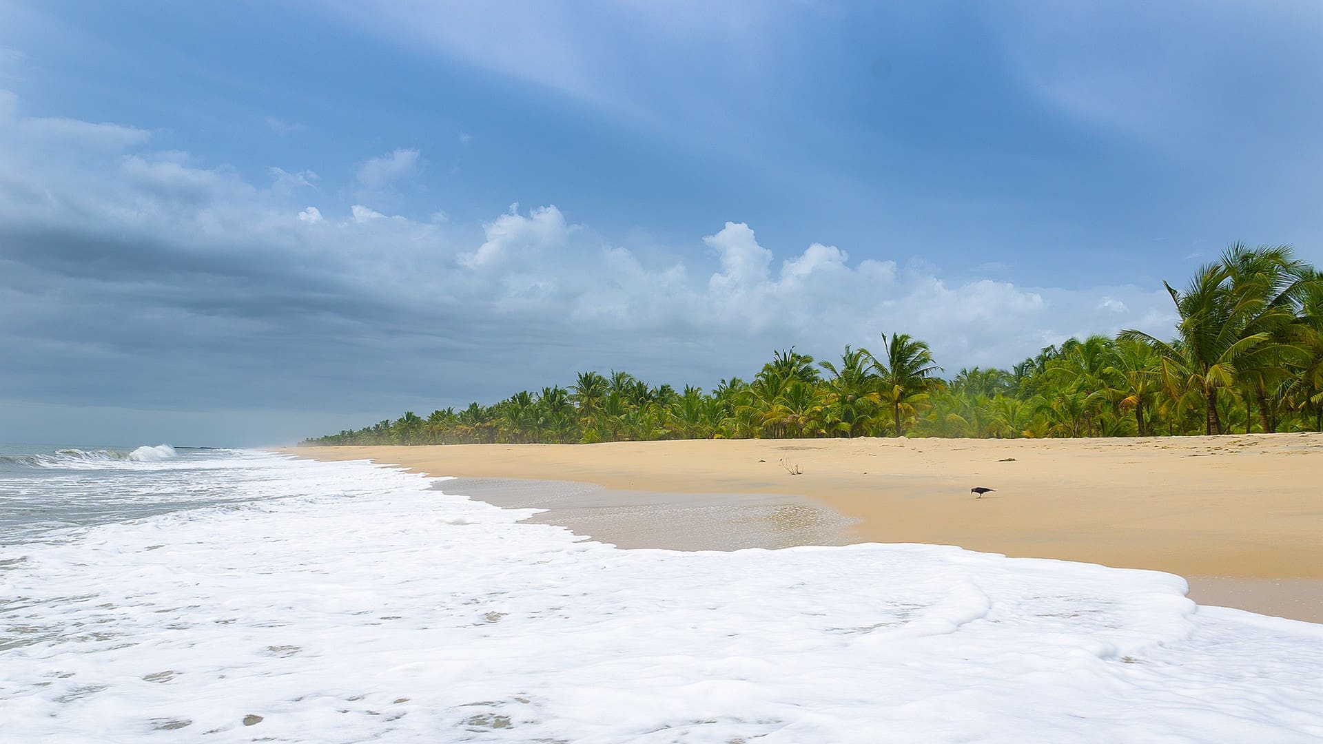 Marari Beach