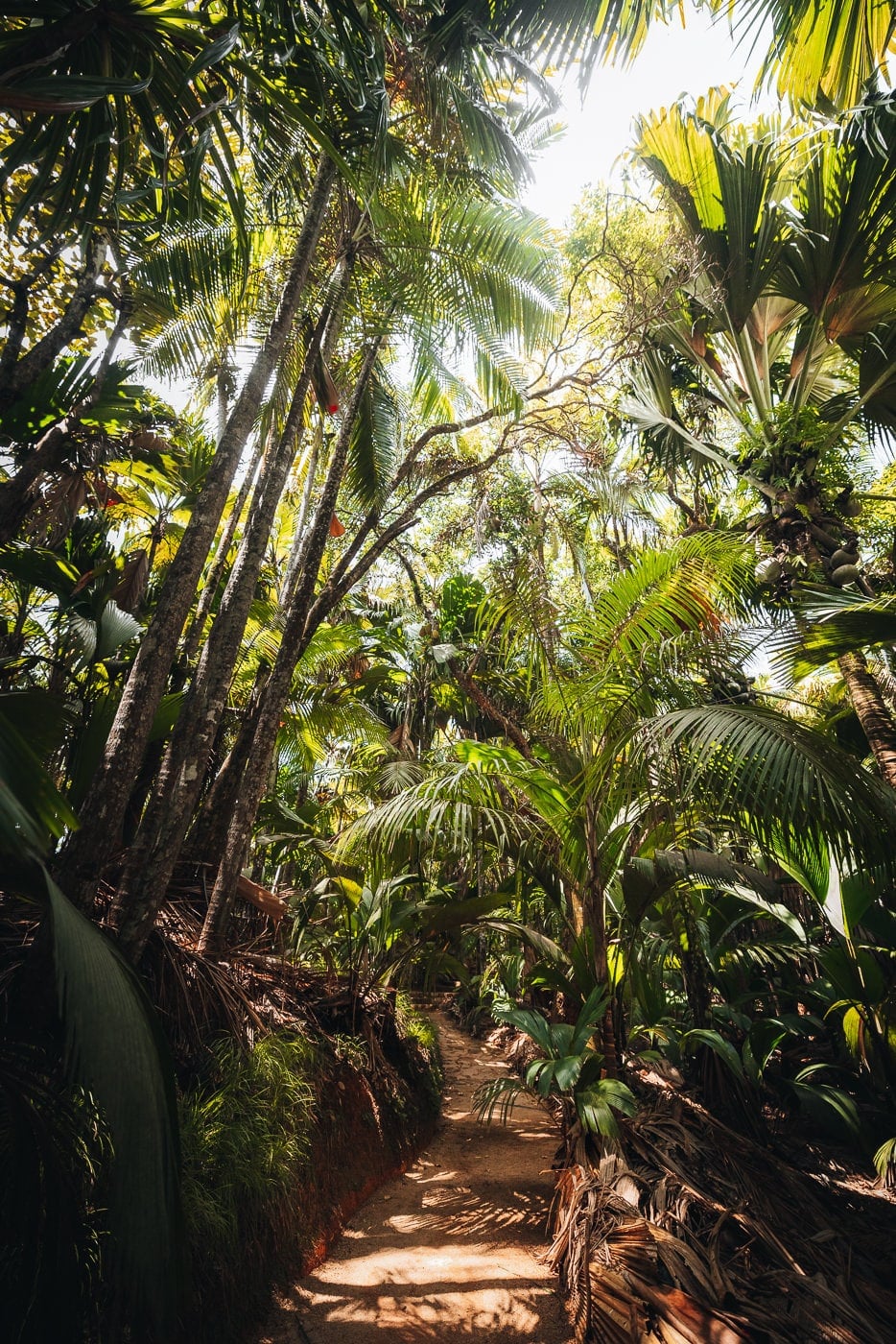 Anse Lazio
