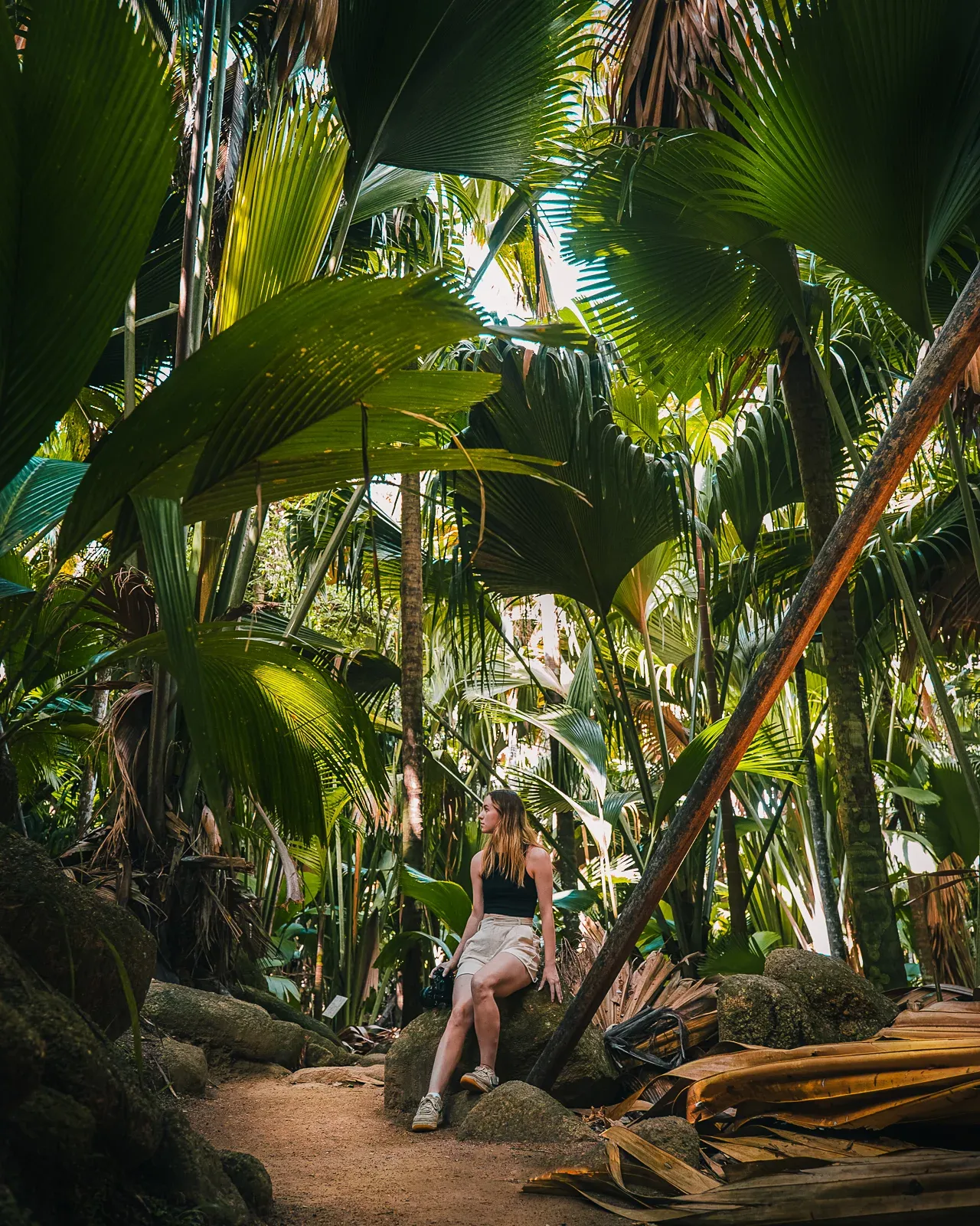 Vallée de Mai Nature Trail