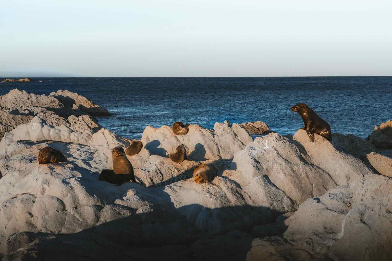 Point Kean Viewpoint