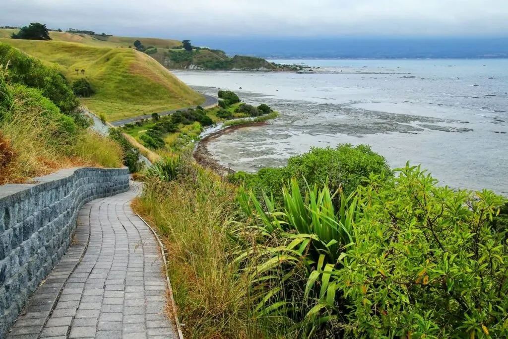 Kaikoura Peninsula Walkway