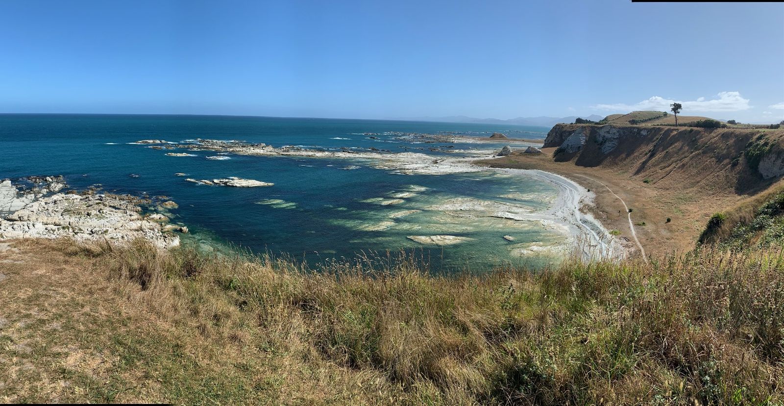 Kaikoura Peninsula Walkway