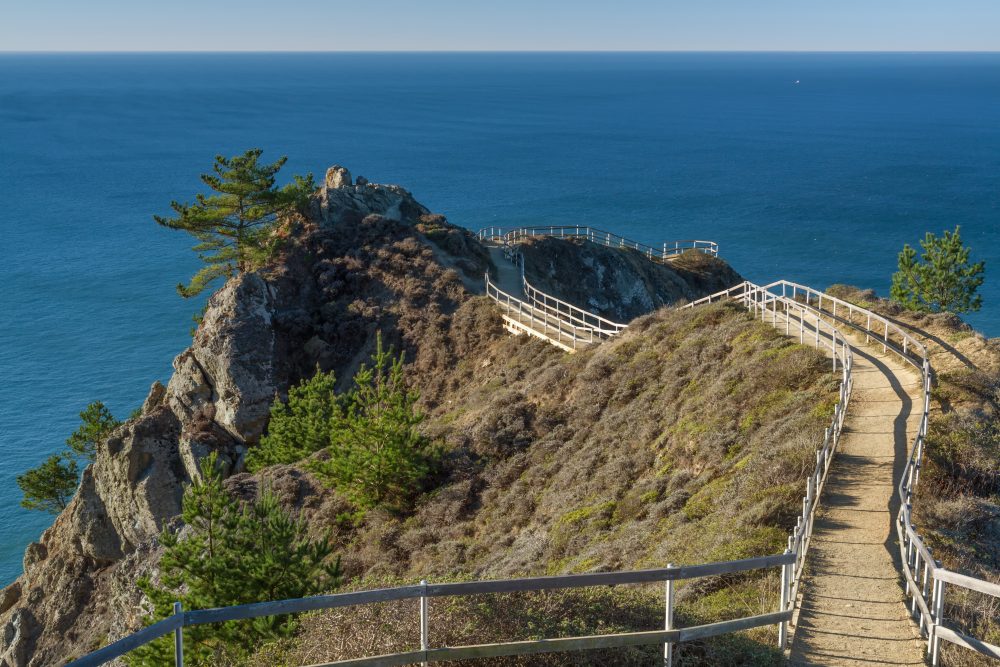 Kaikoura Peninsula Walkway