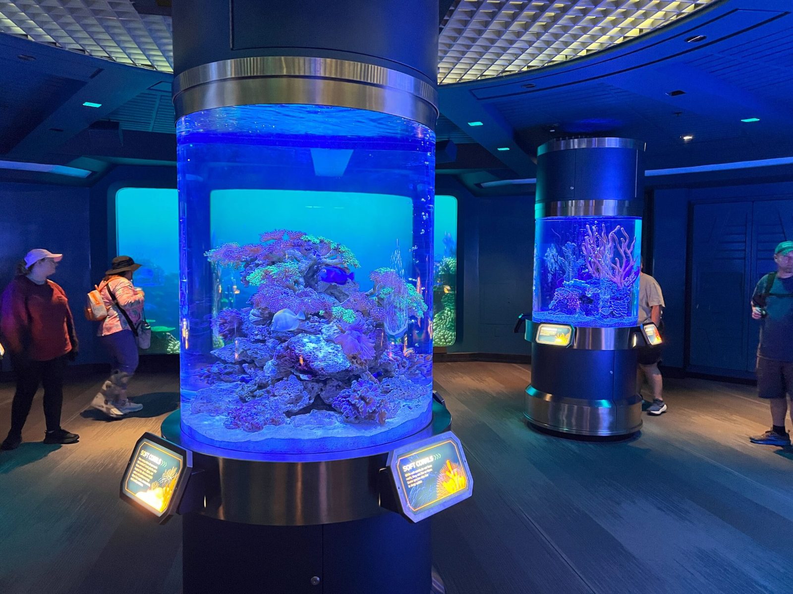 Marine Life Gallery