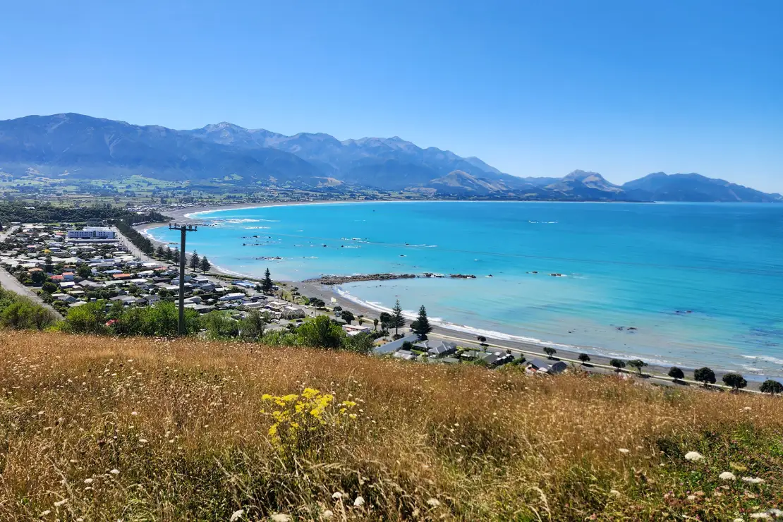 South Bay Viewpoint