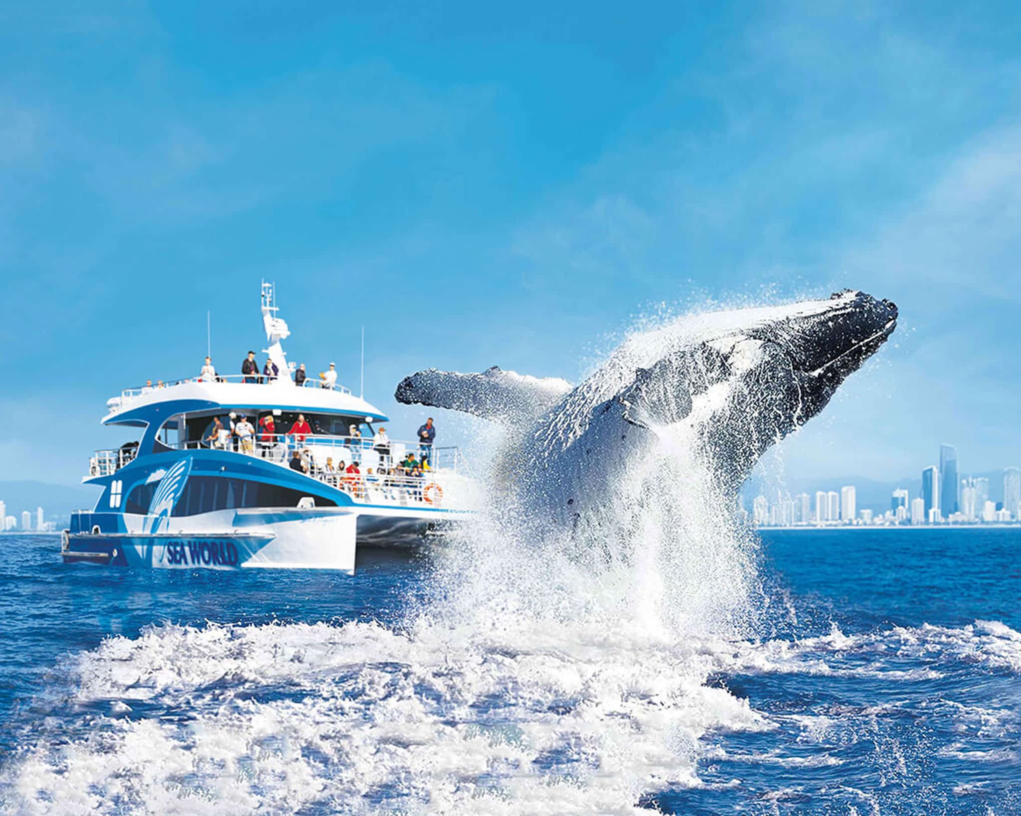 Ocean Transit