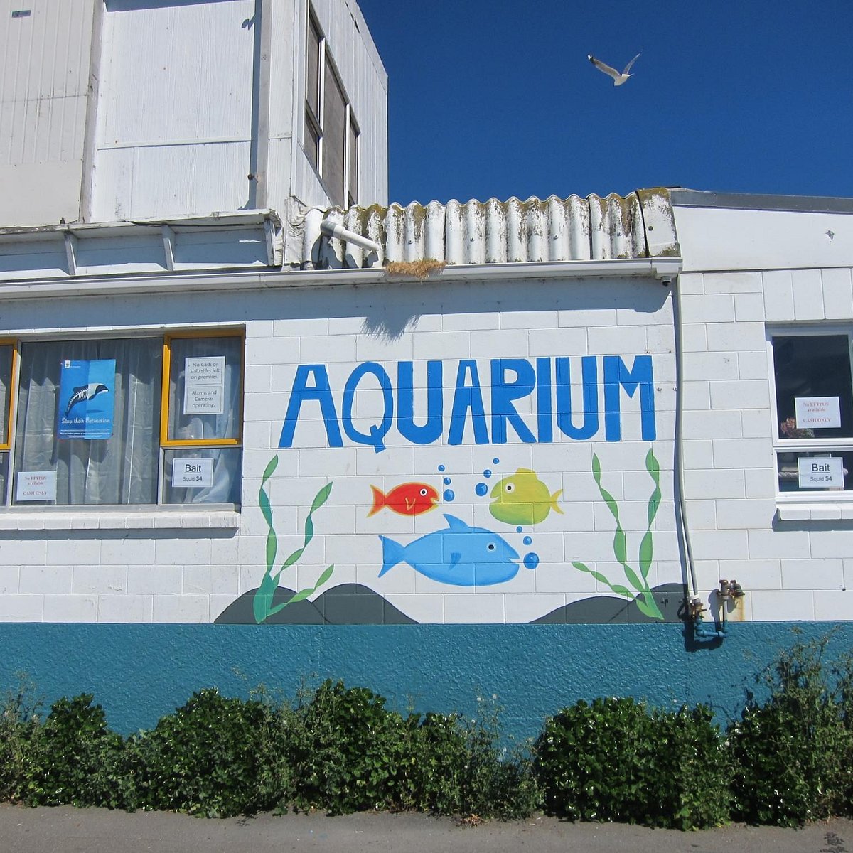 Kaikoura Marine Aquarium
