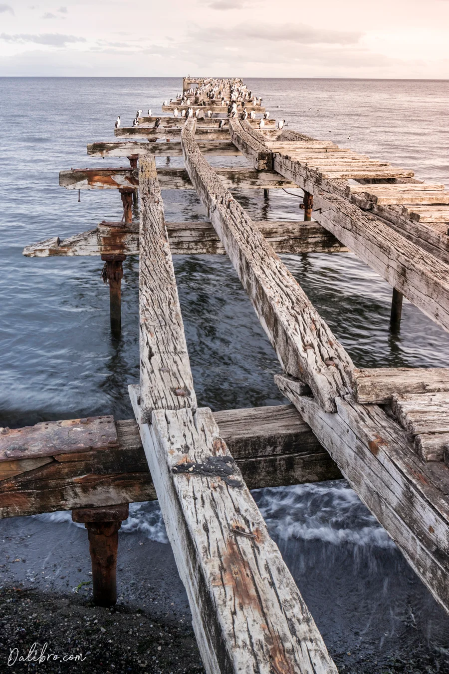 Punta Arenas Port Pier