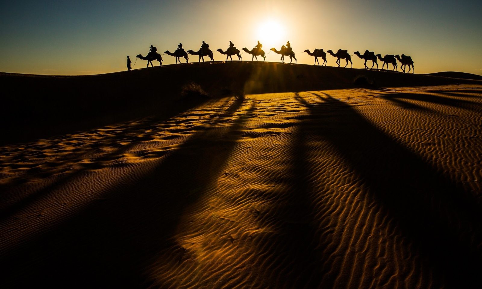 Camel Trekking Path