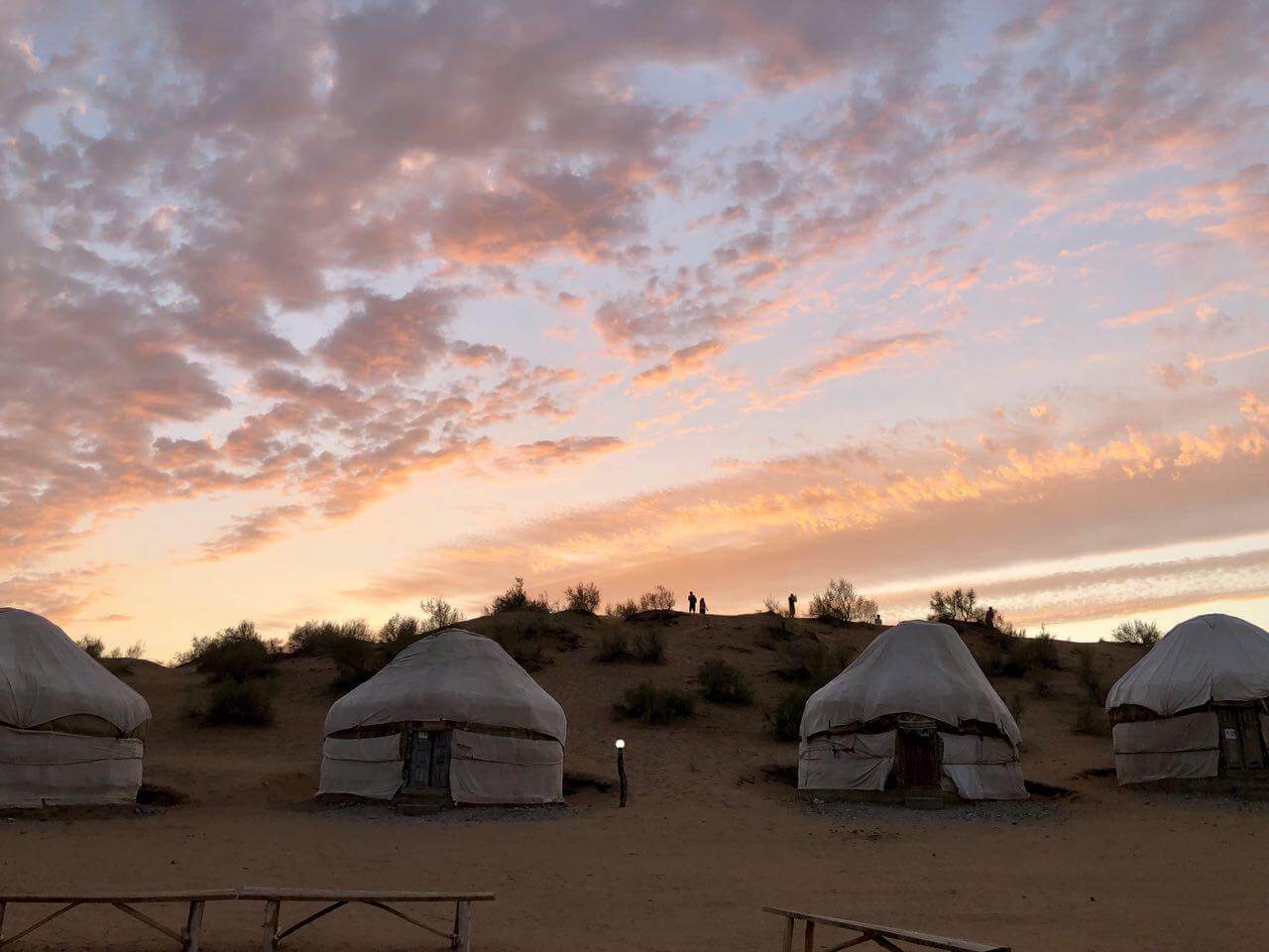 Yurt Camp Shoreline