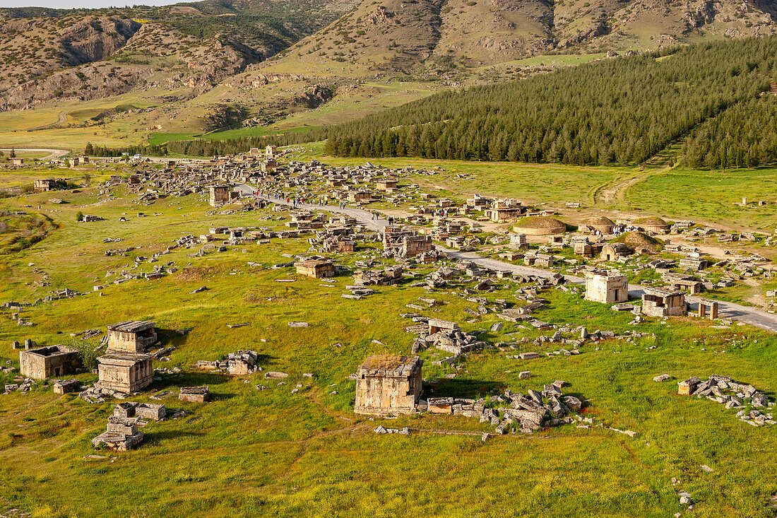 Ancient Fields