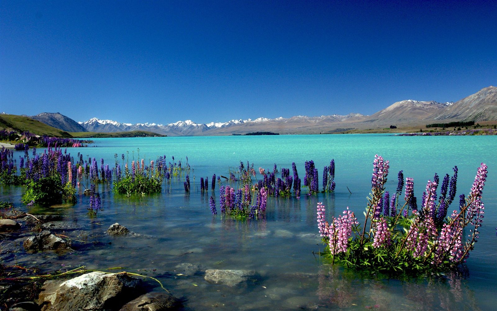 Lake Tekapo