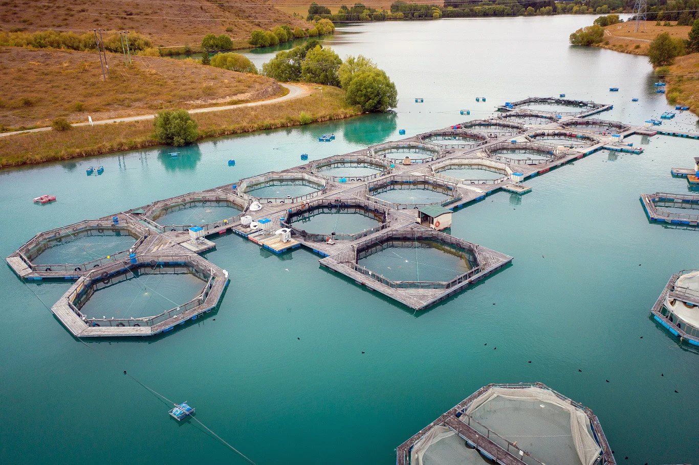 High Country Salmon Farm