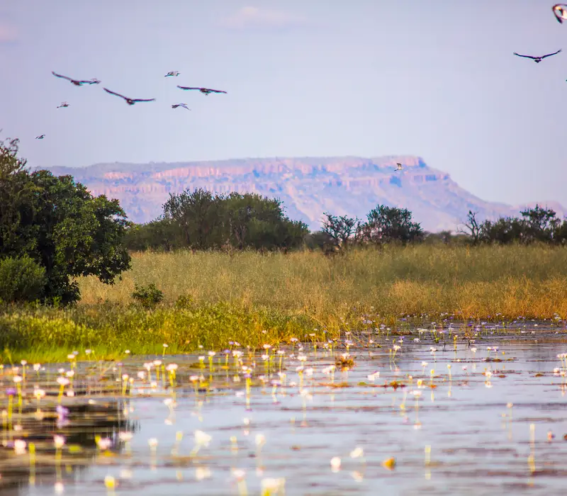 Gadikwe Lagoon