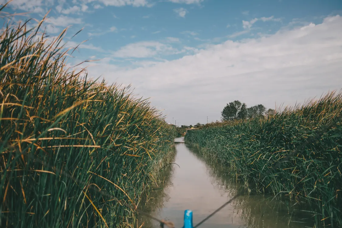 Boro River Channel
