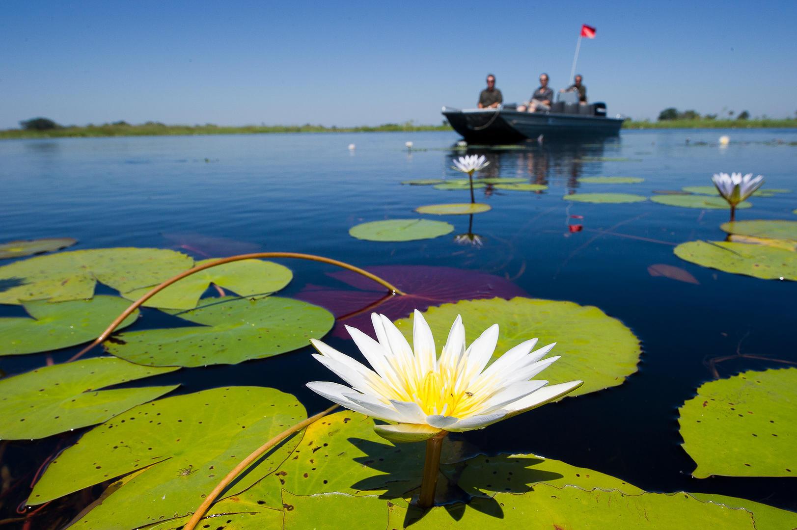 Jao Concession Waterways
