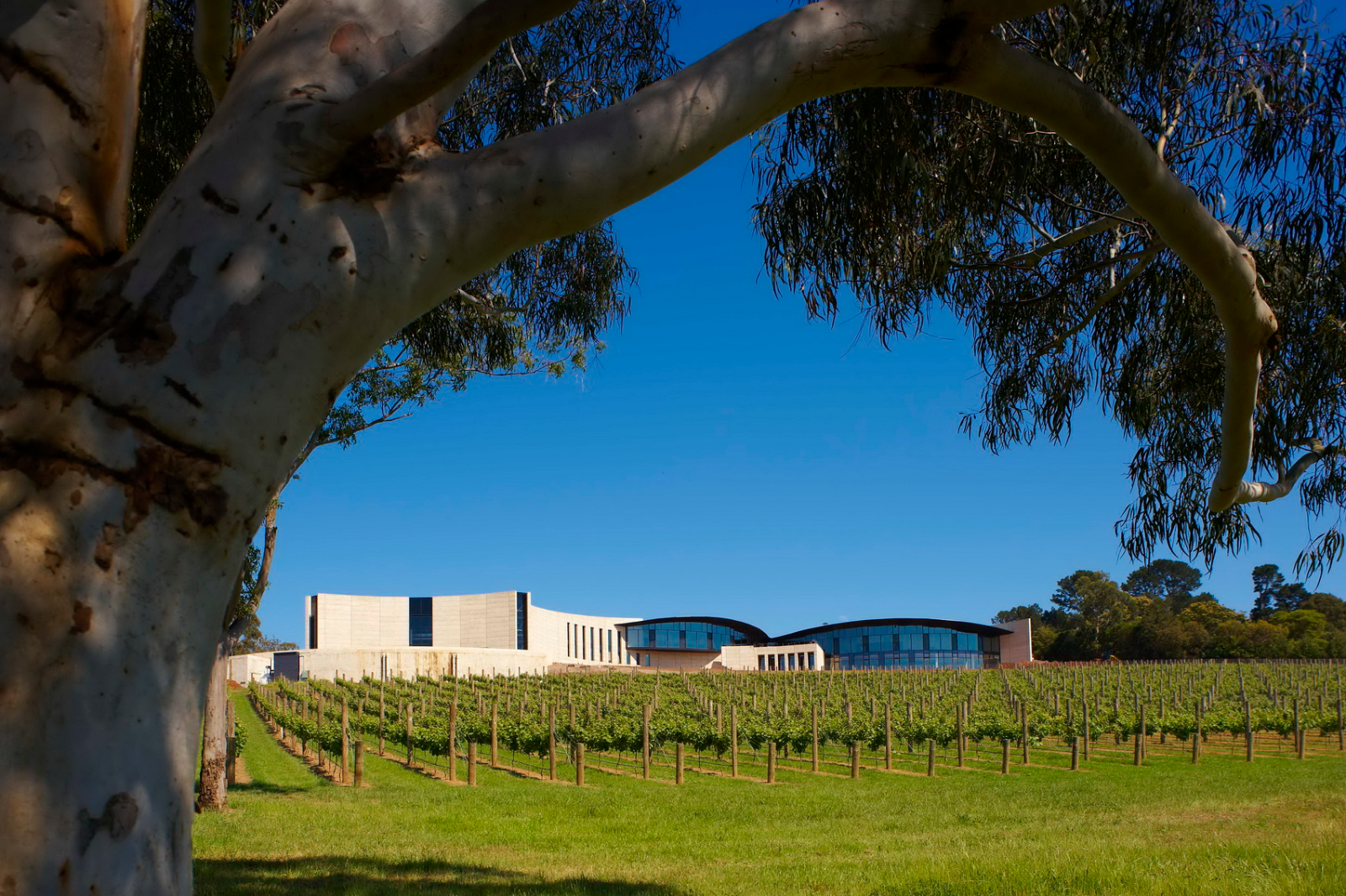 Port Phillip Estate