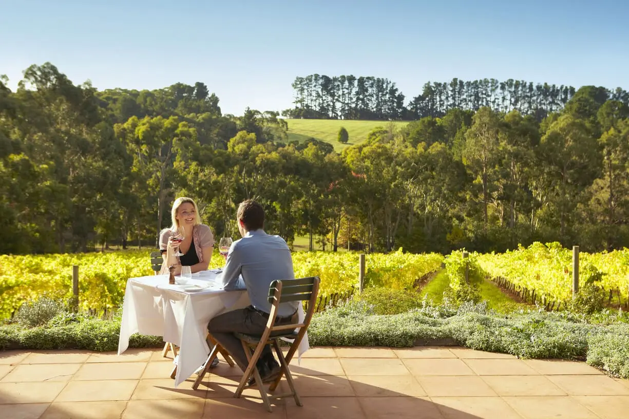 Arrival at Vineyard