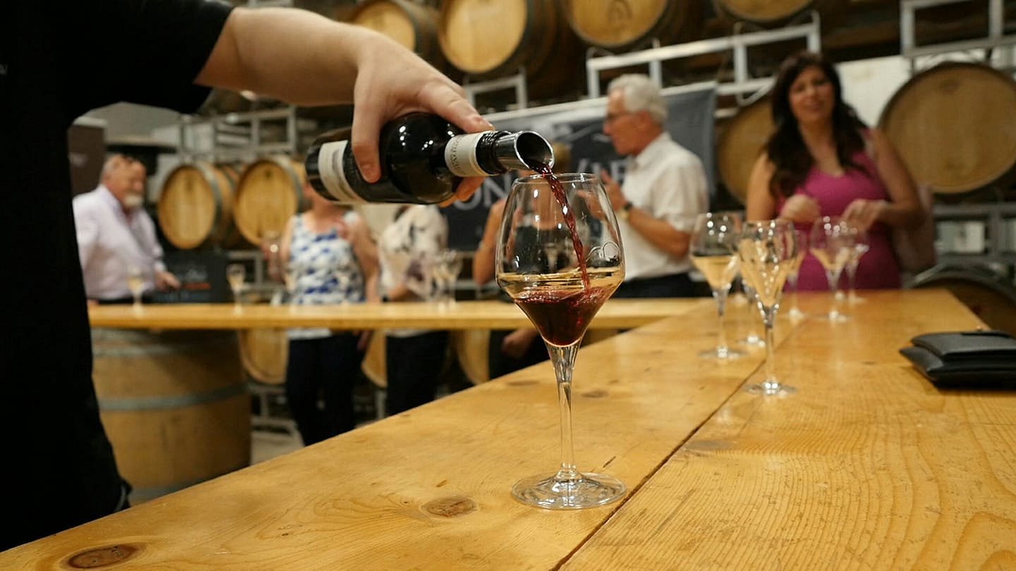 Mornington Peninsula Wine Tasting