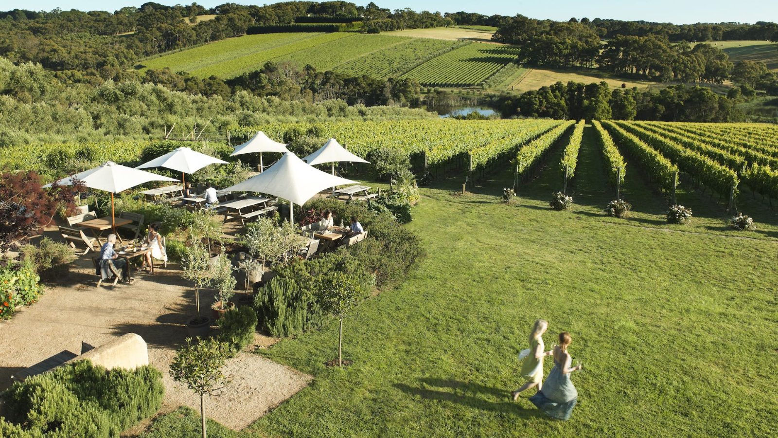 Cellar Door Terrace