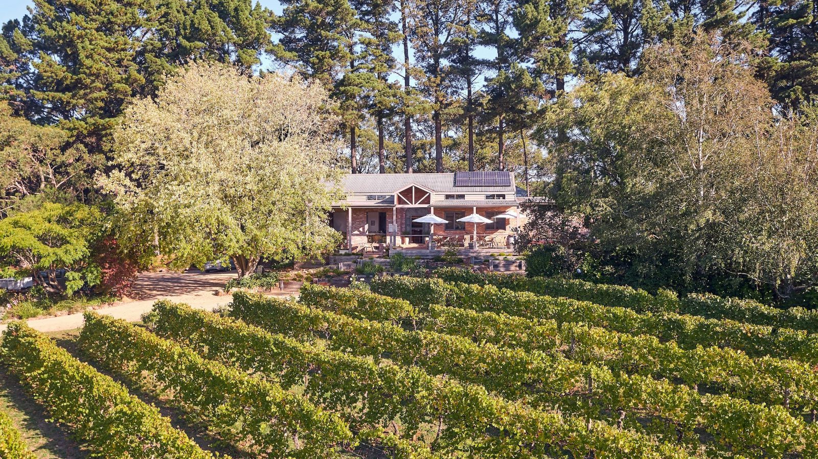 Main Ridge Estate Lookout