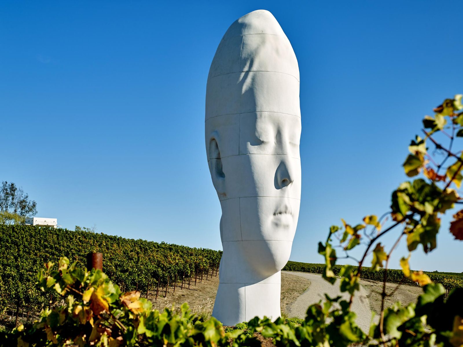 Vineyard Sculpture Walk