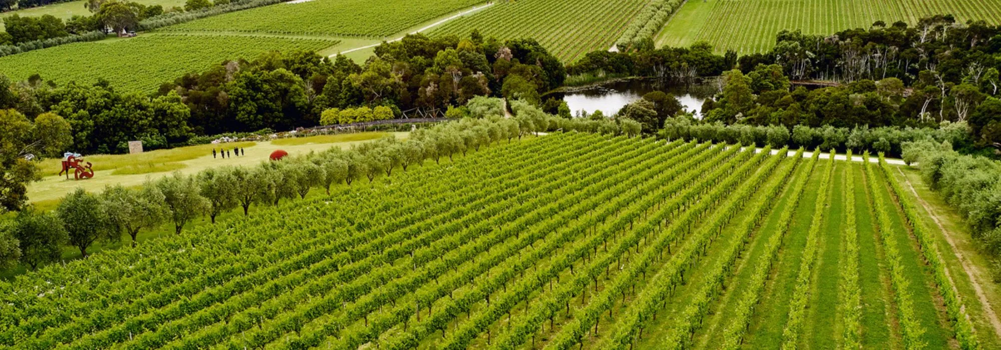Red Hill Wineries