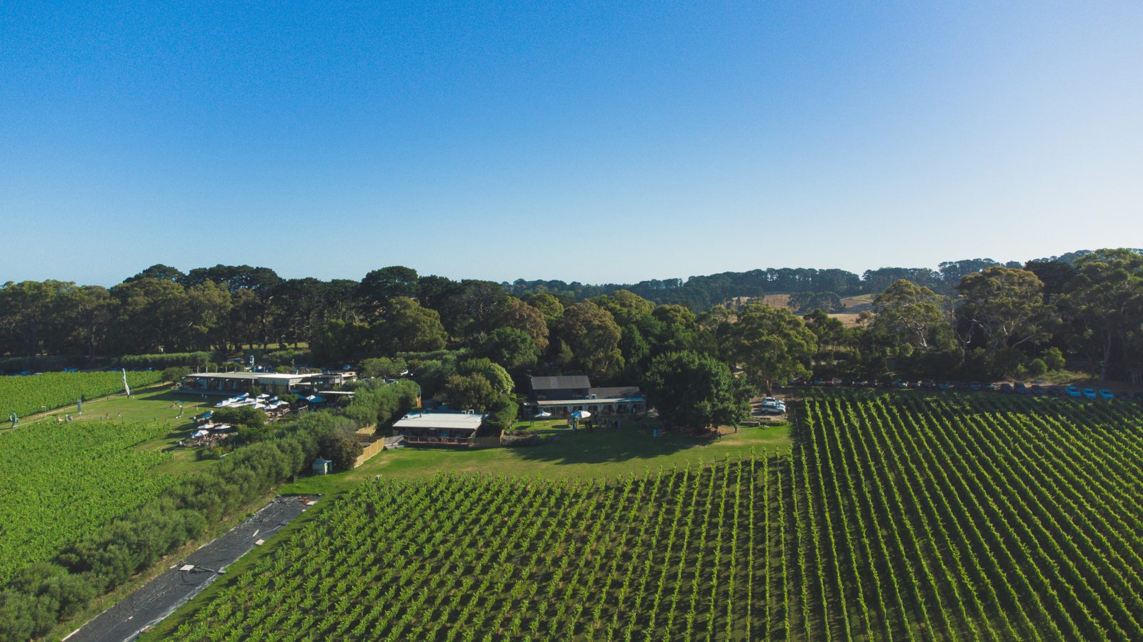 Tucks Ridge Terrace