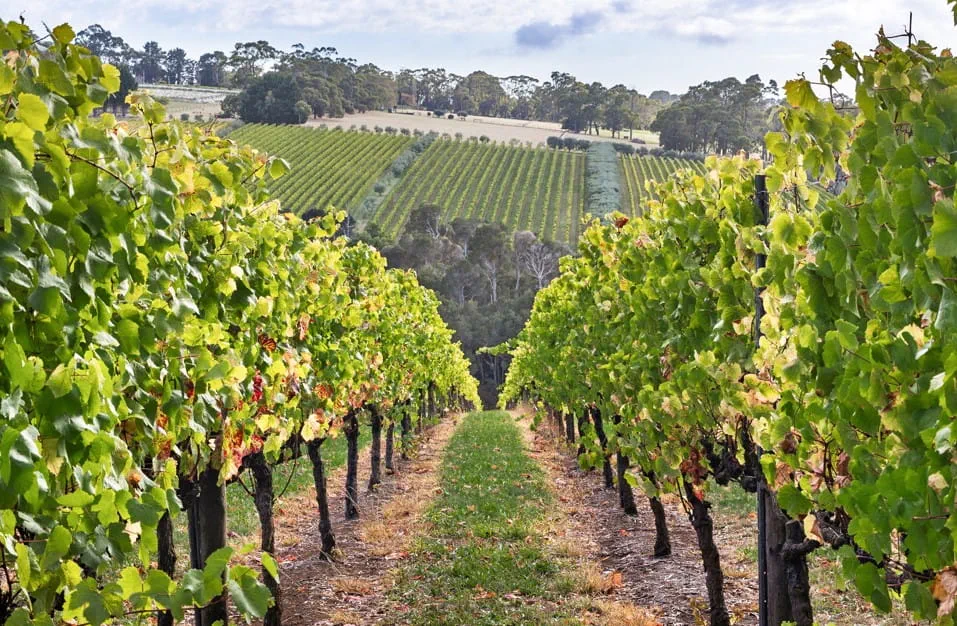 Tucks Ridge Terrace