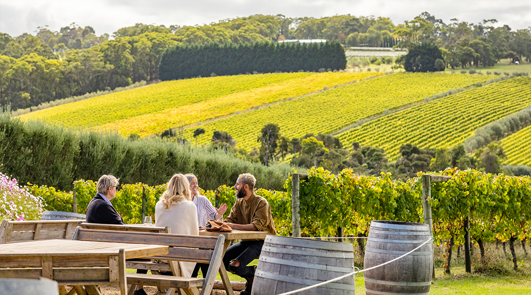Montalto Vineyard