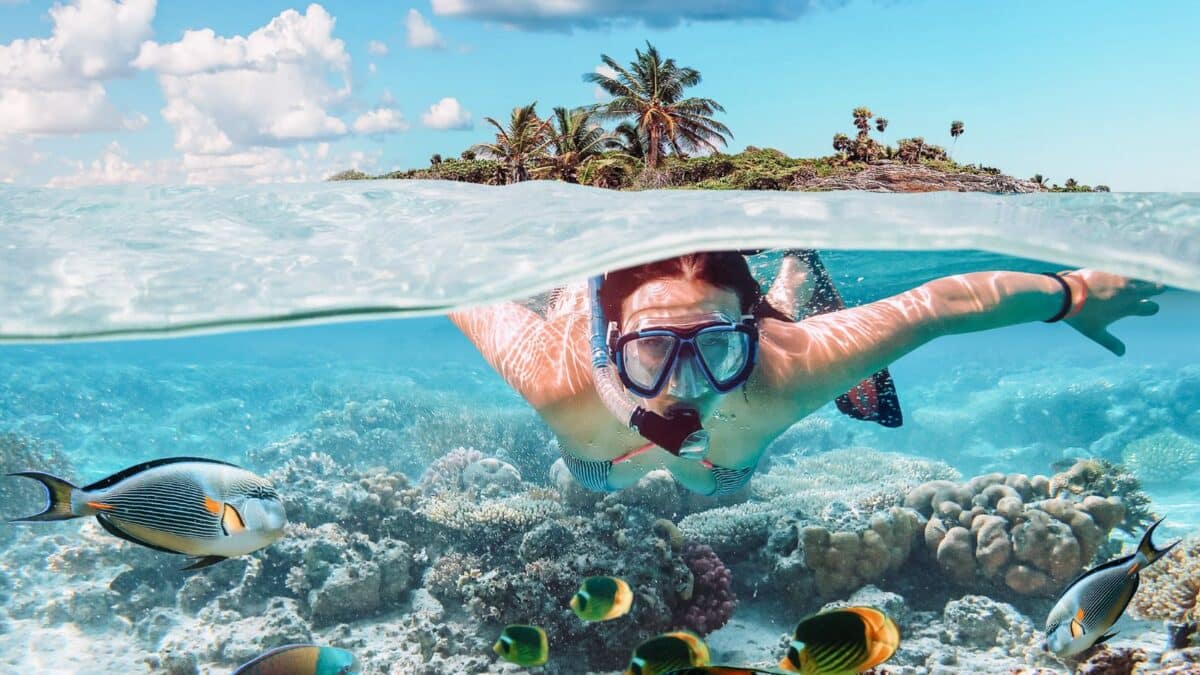 Seychelles Catamaran Trip