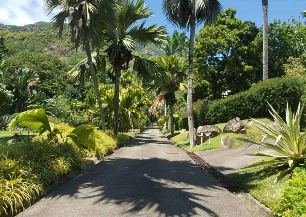 Botanical Gardens
