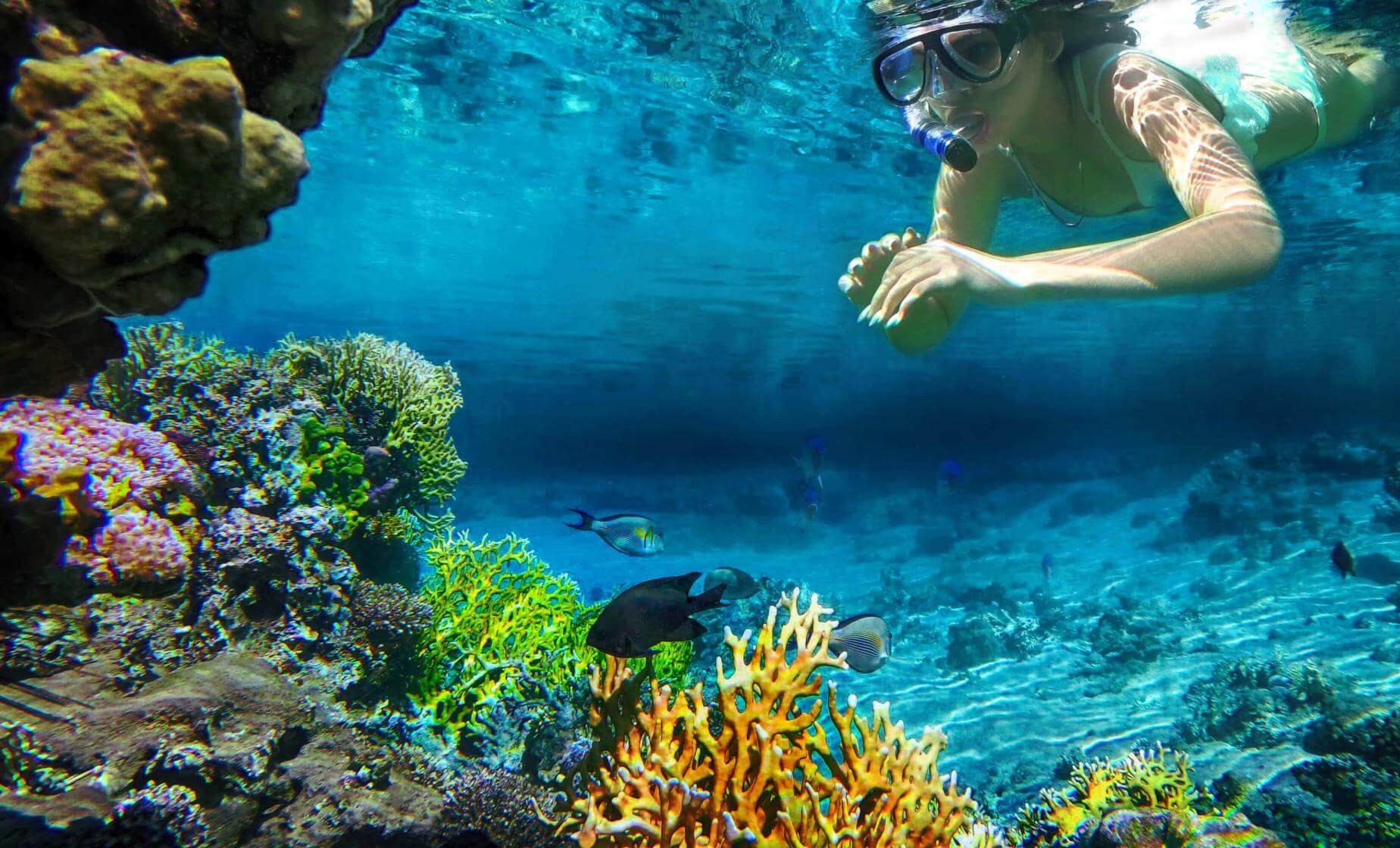 Snorkeling Lagoon