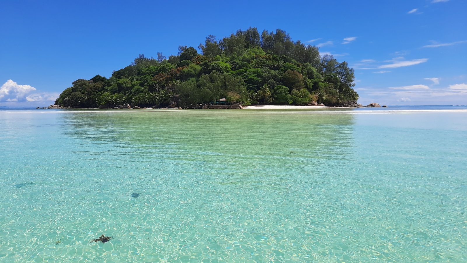Moyenne Island