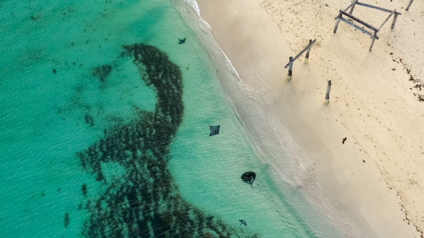 Hamelin Bay