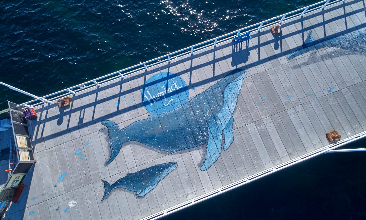 Life-sized Whale Mural