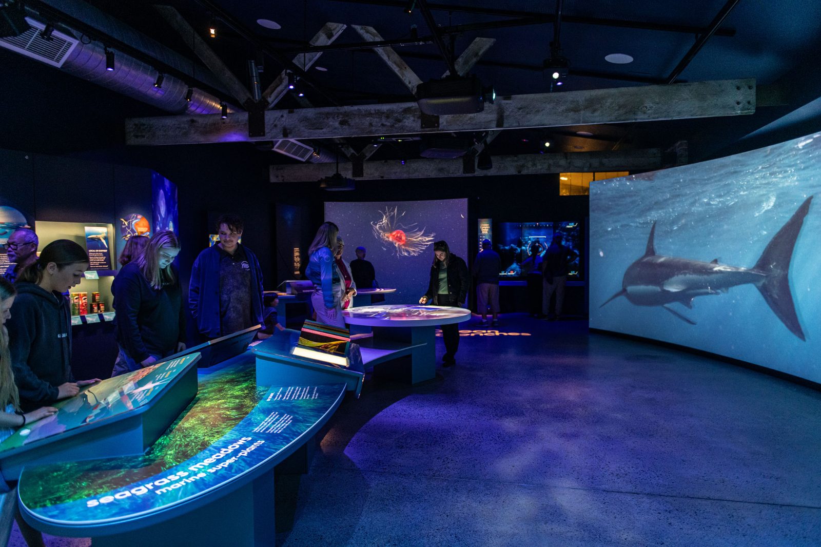 Marine Discovery Centre