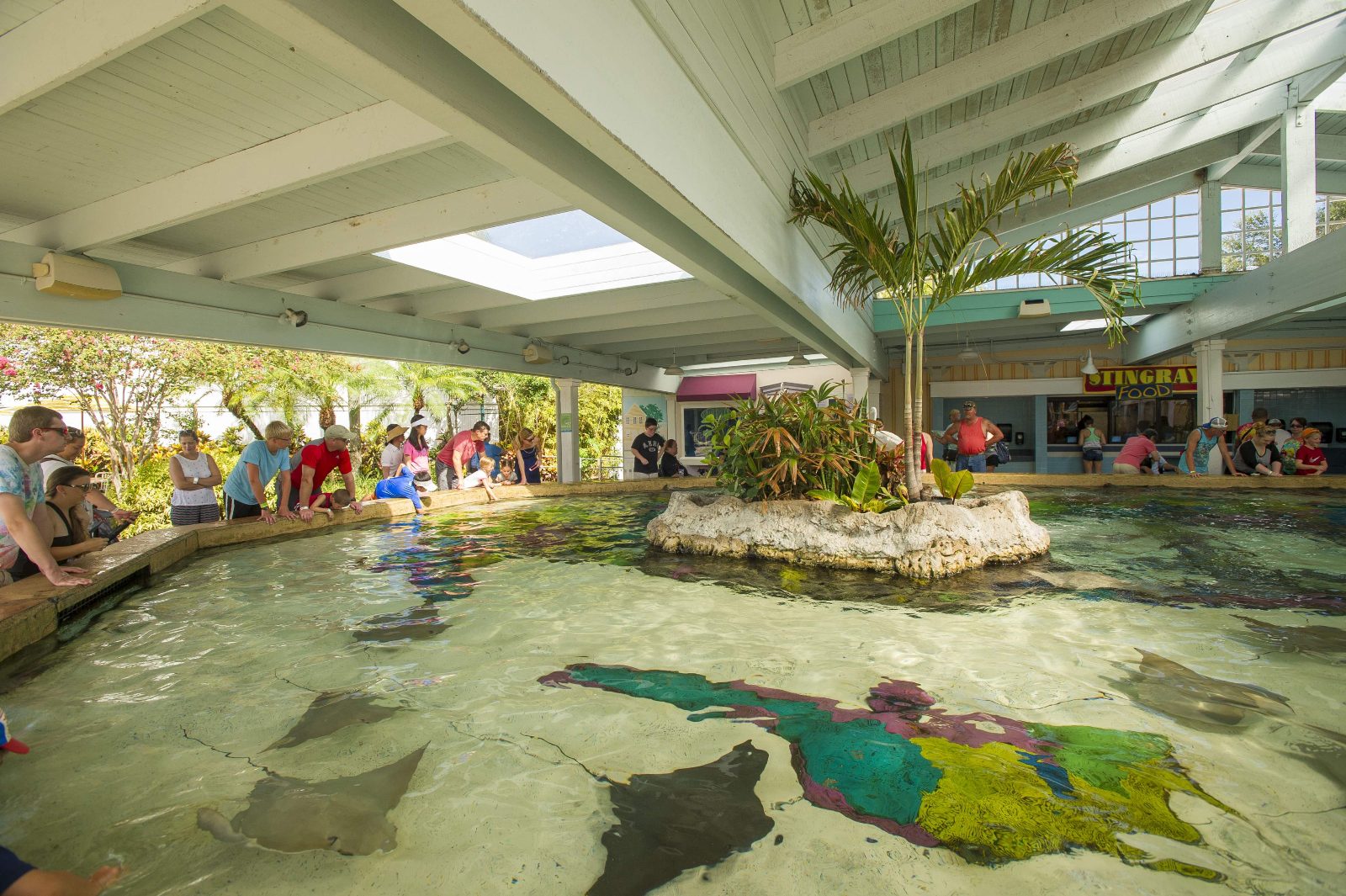 Stingray Lagoon