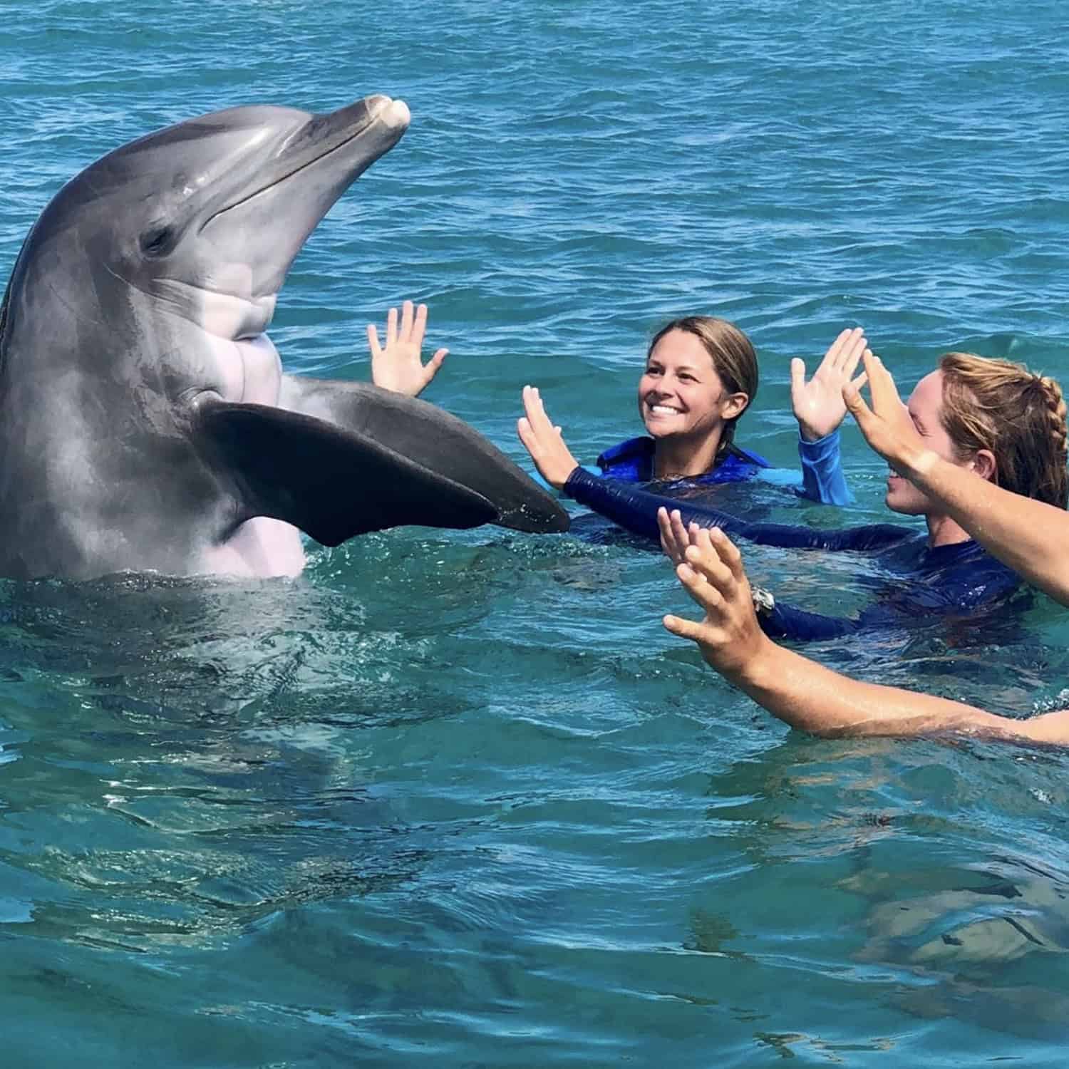 Sea Sanctuary