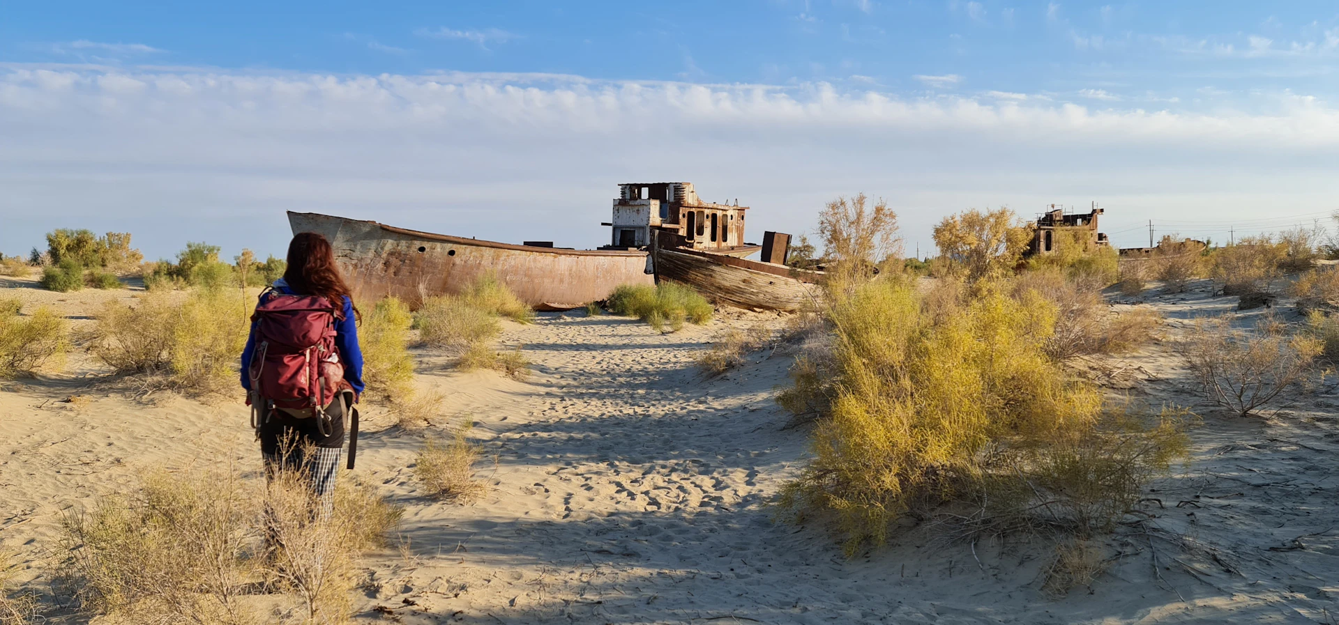 Tour de Nukus al mar de Aral — Expediciones por el desierto y cementerio de barcos