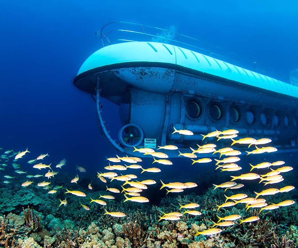 Kona Submarine Tour Experience