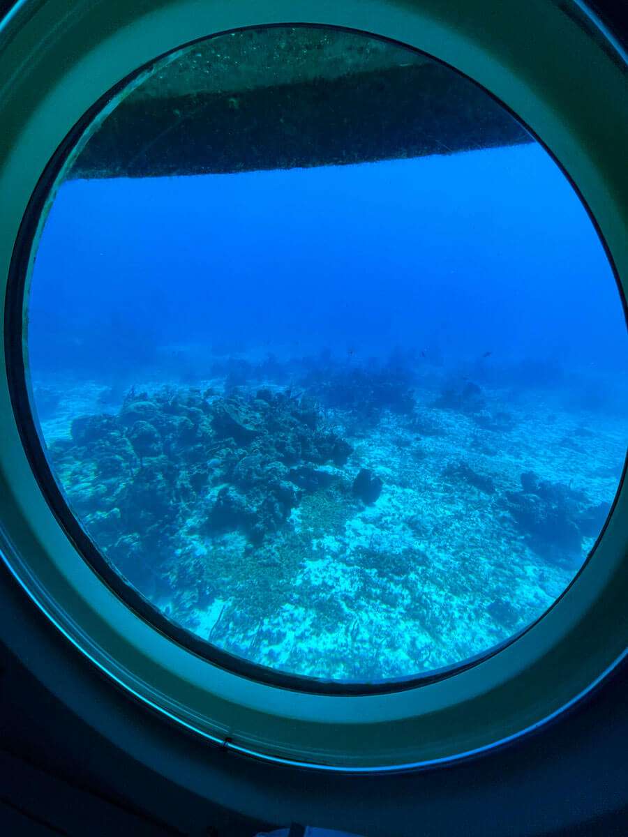 Your experience at Kona Submarine Tour